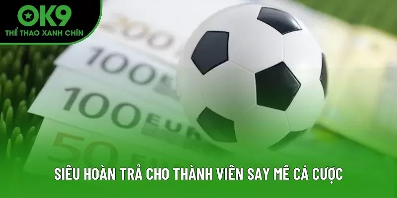 Siêu hoàn trả cho thành viên say mê cá cược